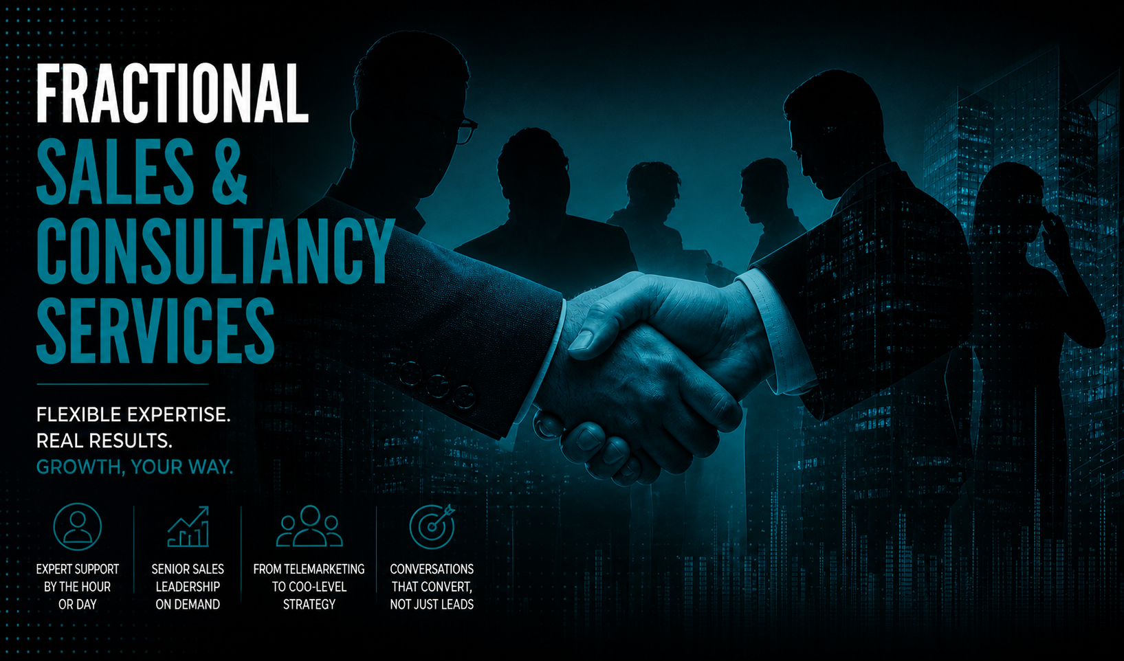 Fractional Sales & Consultancy Services